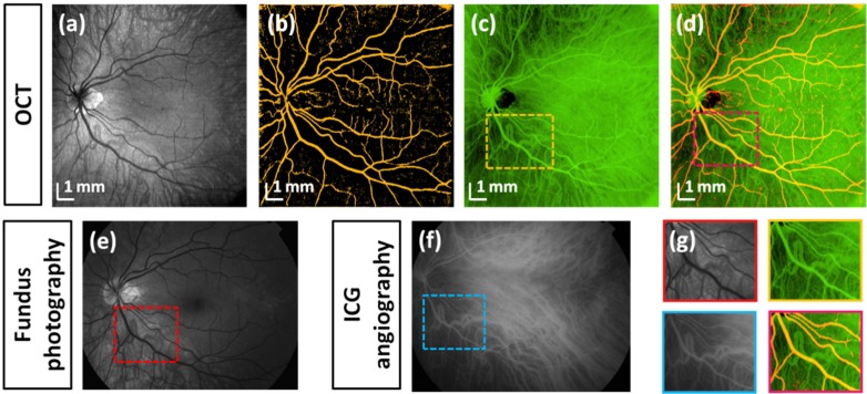 Fig. 8