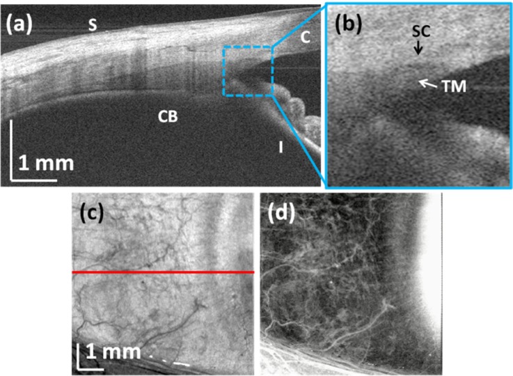 Fig. 10