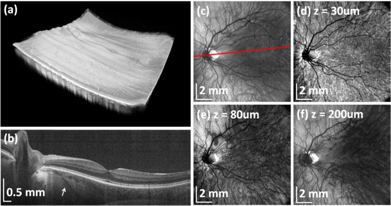 Fig. 7