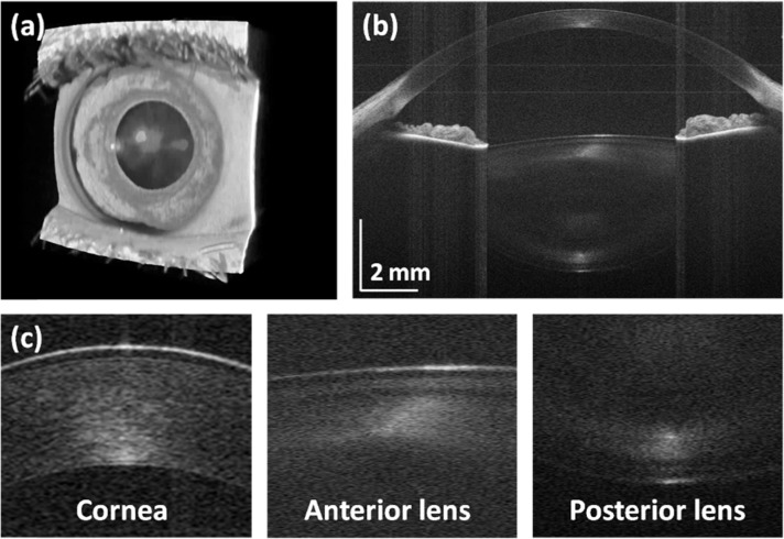 Fig. 9