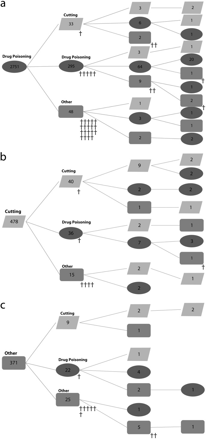 FIGURE 2—