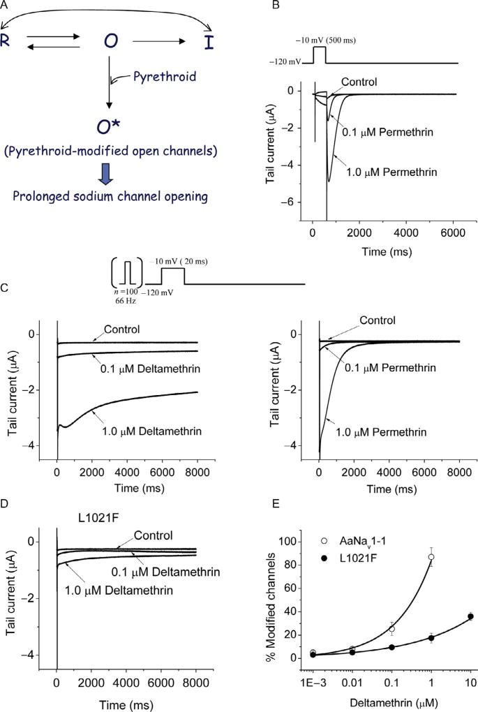 Figure 5.4