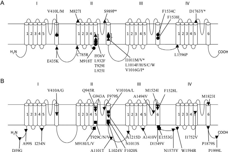 Figure 5.3