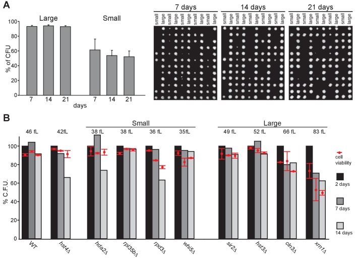 Figure 3—figure supplement 1.