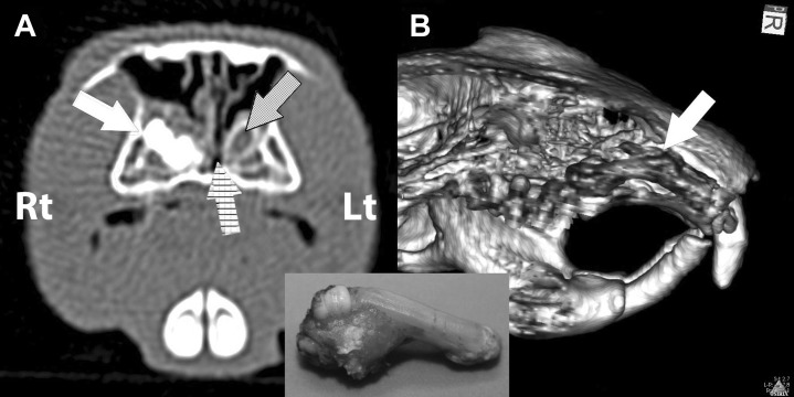 Fig. 13