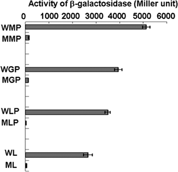 FIG. 4.