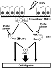 FIGURE 9.