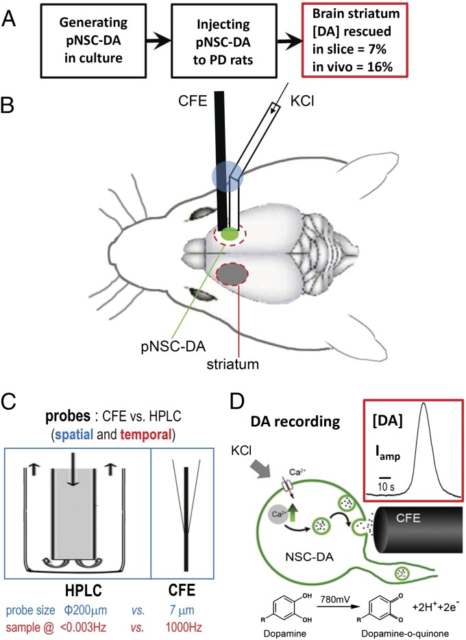 Fig. 6.