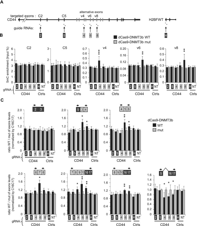 Figure 6.