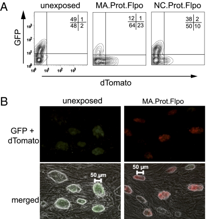 Fig. 4.