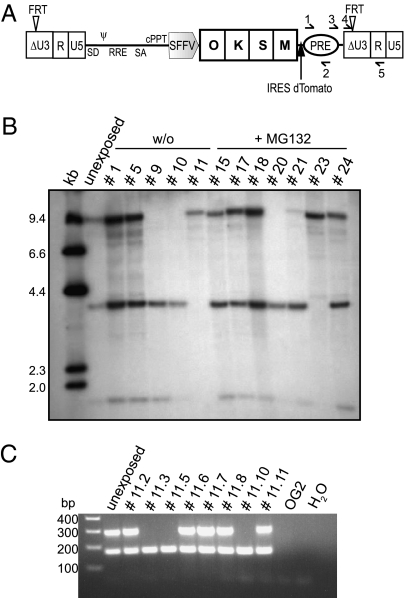 Fig. 5.