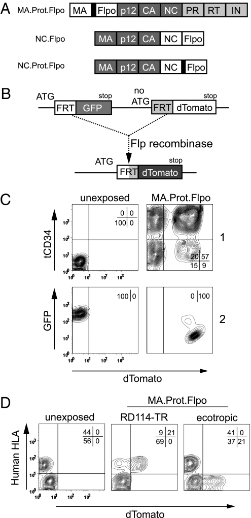 Fig. 3.