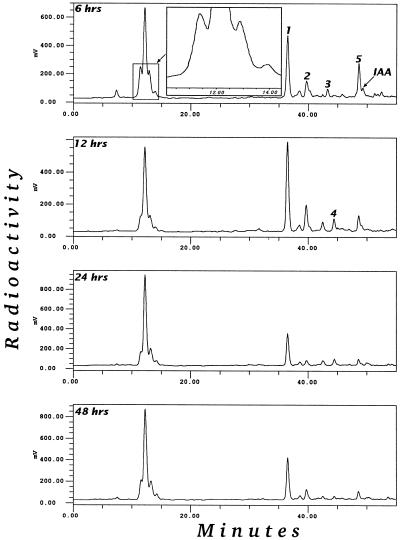 Figure 5