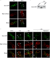 Fig 7