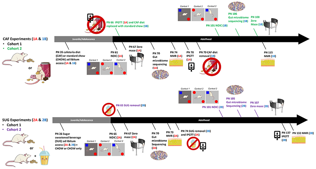 Figure 1: