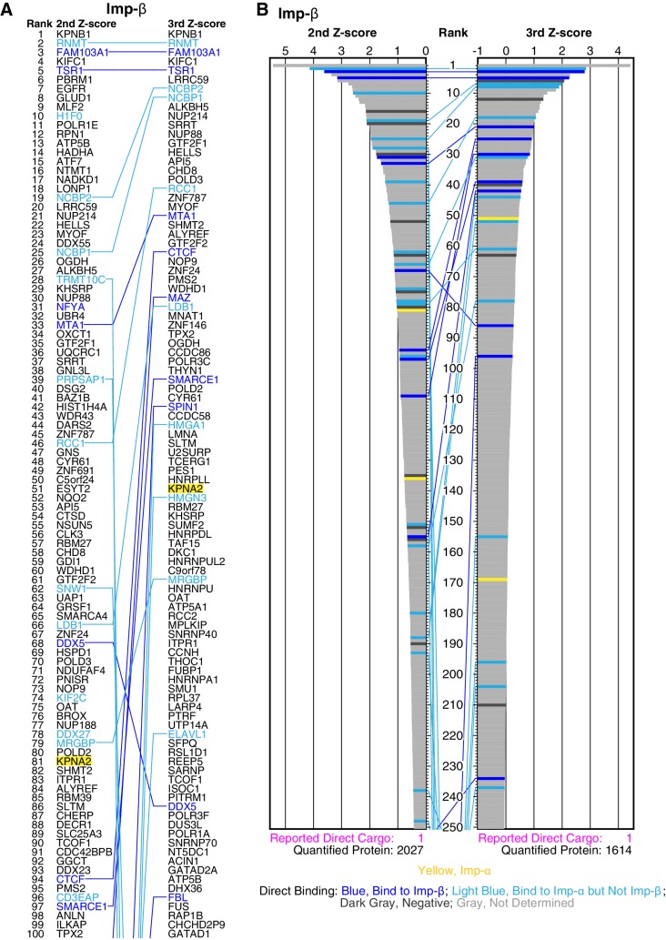 Figure 2—figure supplement 3.