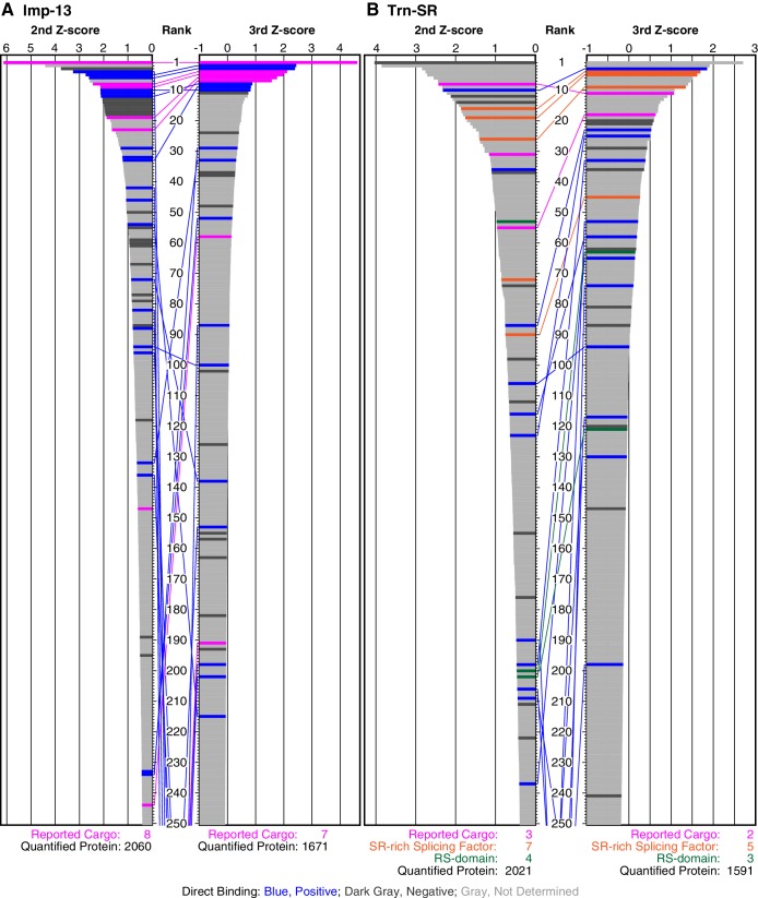 Figure 2—figure supplement 2.