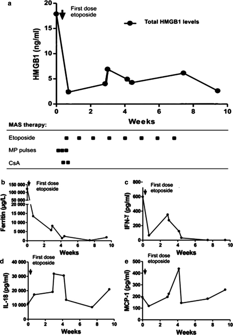 Fig. 4