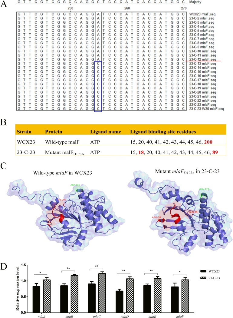 FIG 1