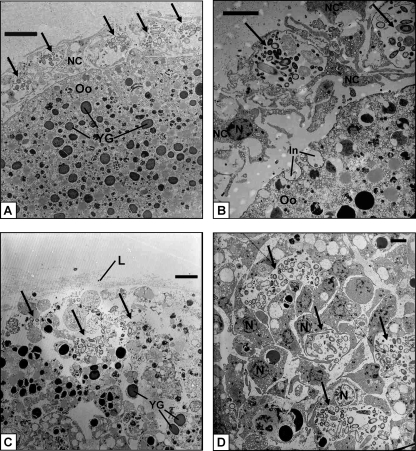 FIG. 8.