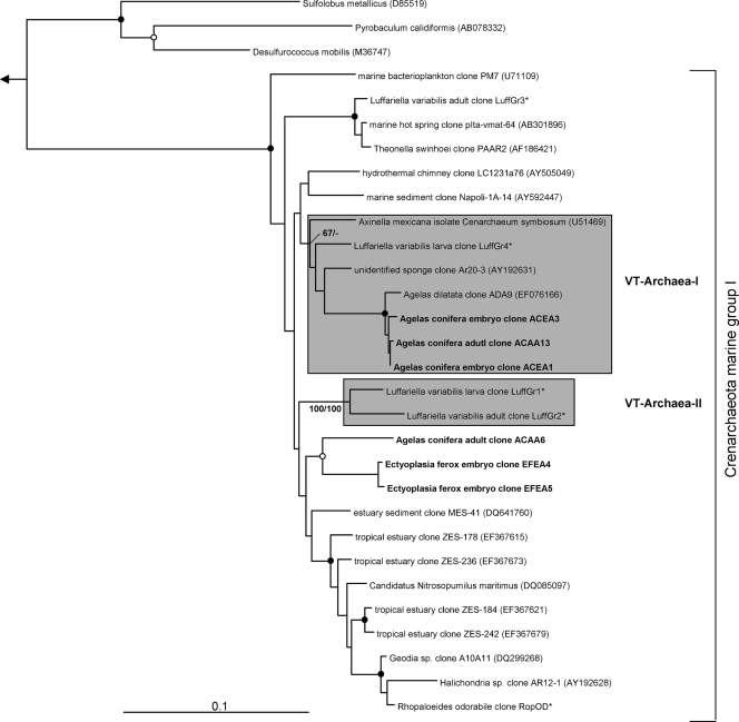 FIG. 7.