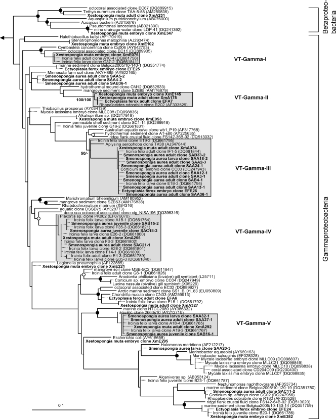 FIG. 5.