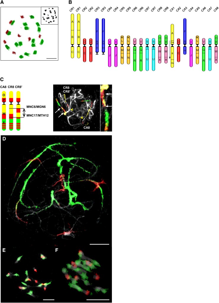 Figure 2.