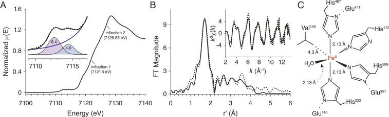 Fig. 5.