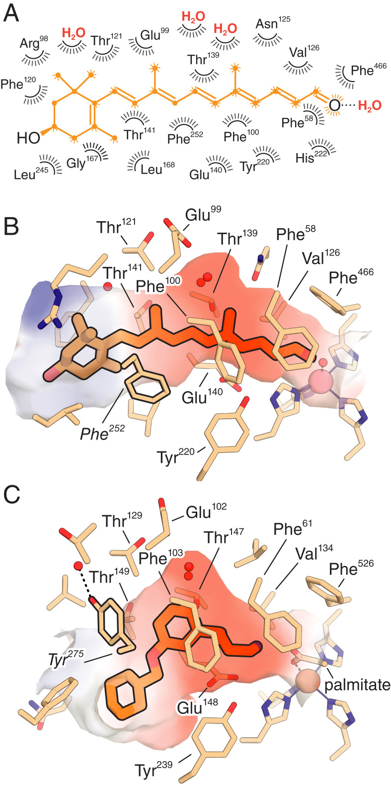 Fig. 6.