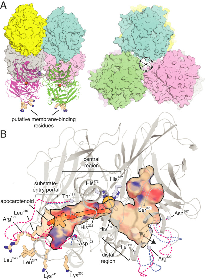 Fig. 4.