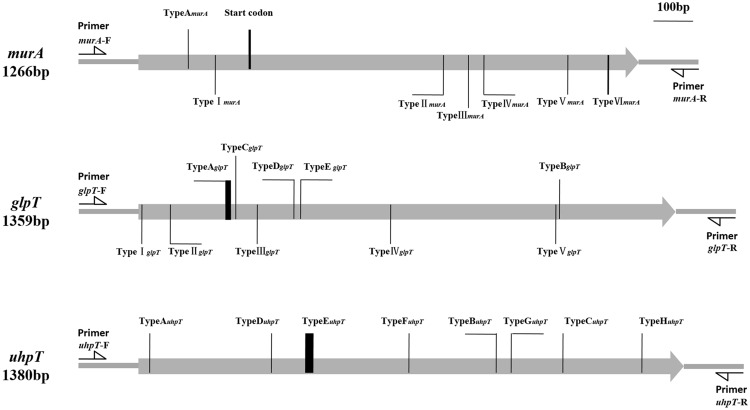 FIGURE 1