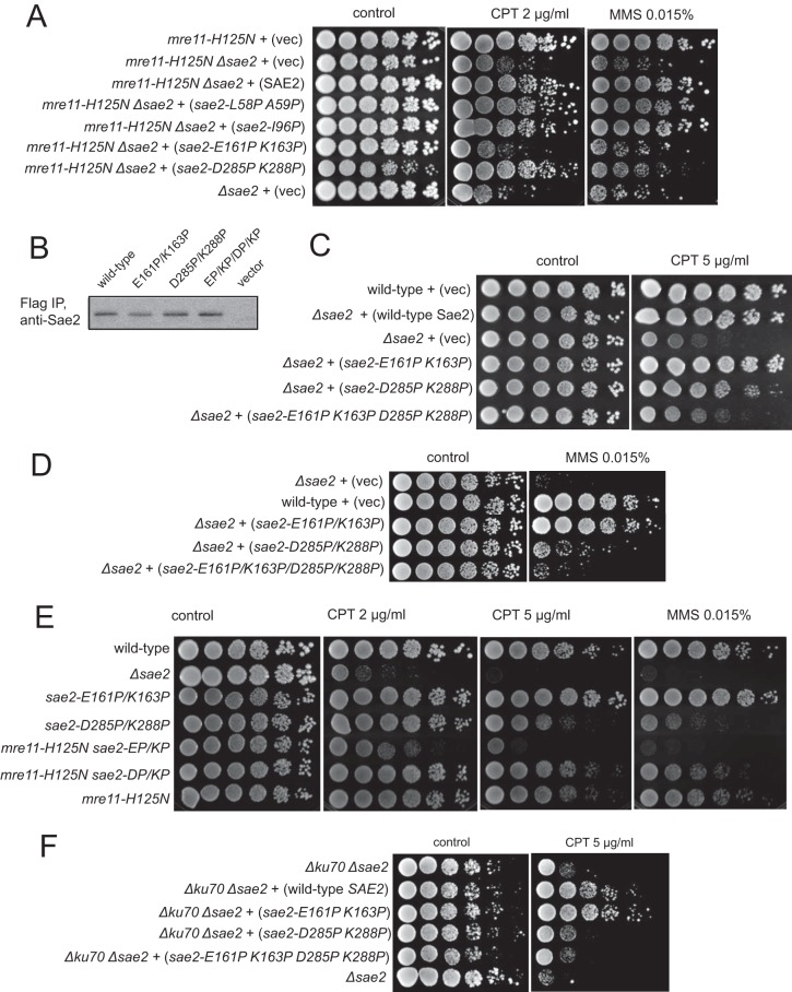 FIG 3