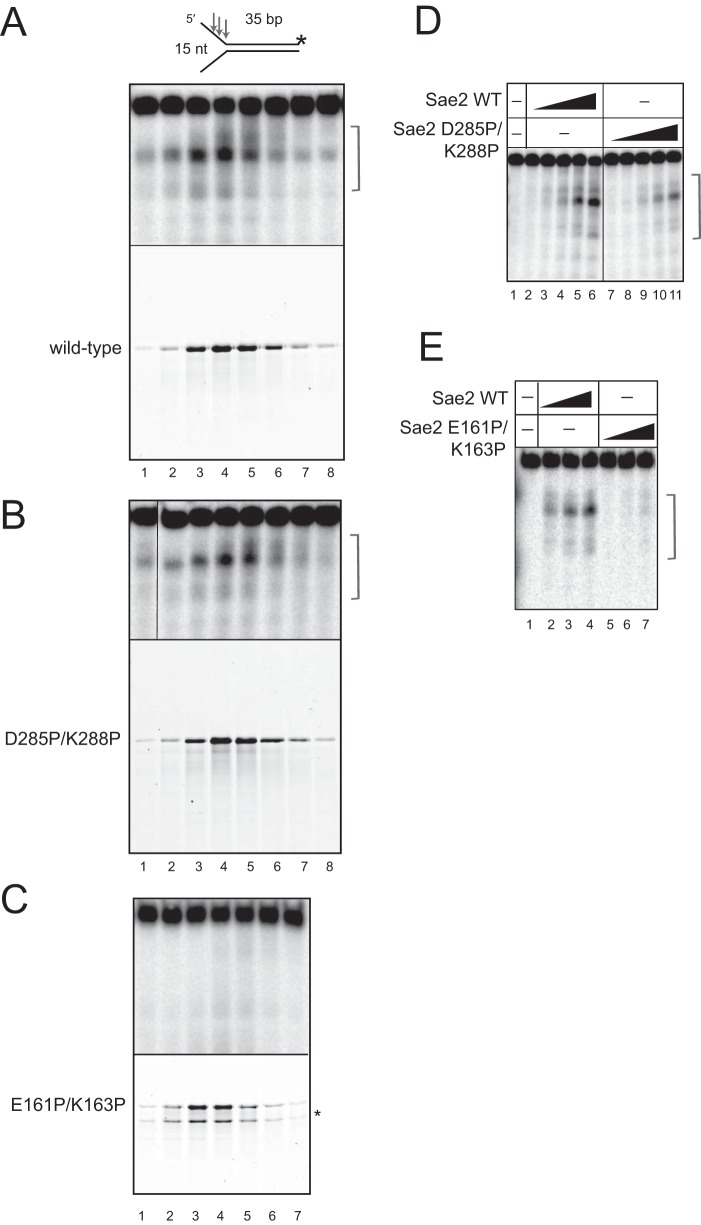 FIG 5