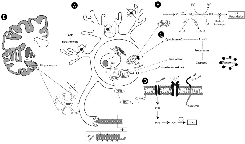 Fig. (3)