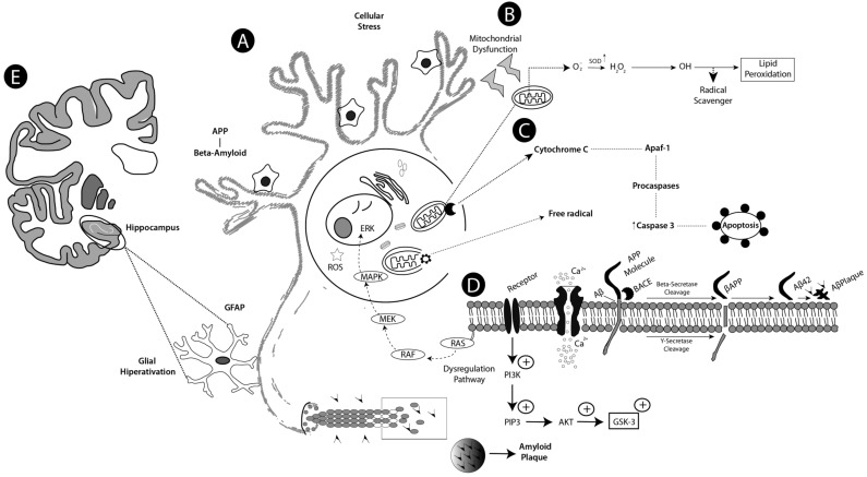 Fig. (2)