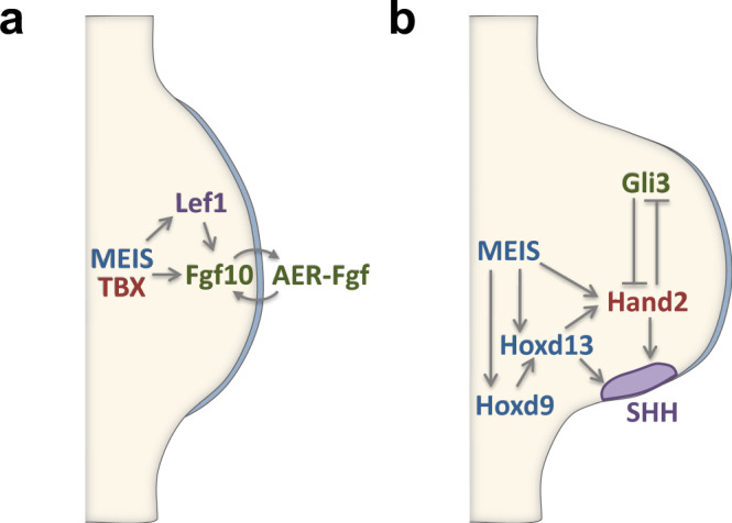 Fig. 8