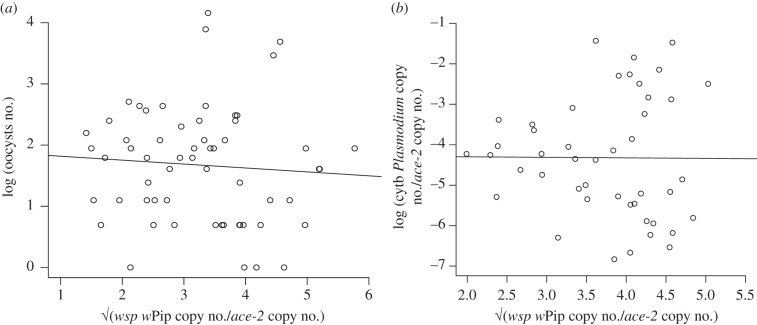 Figure 4.