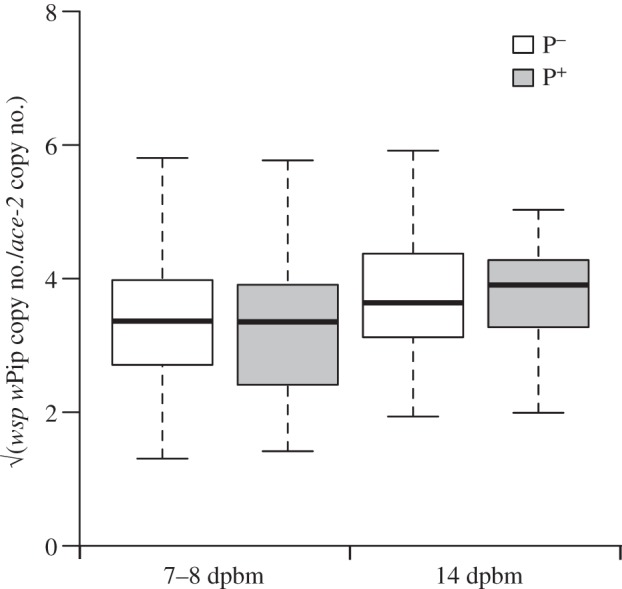 Figure 2.