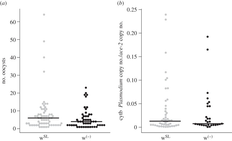 Figure 3.