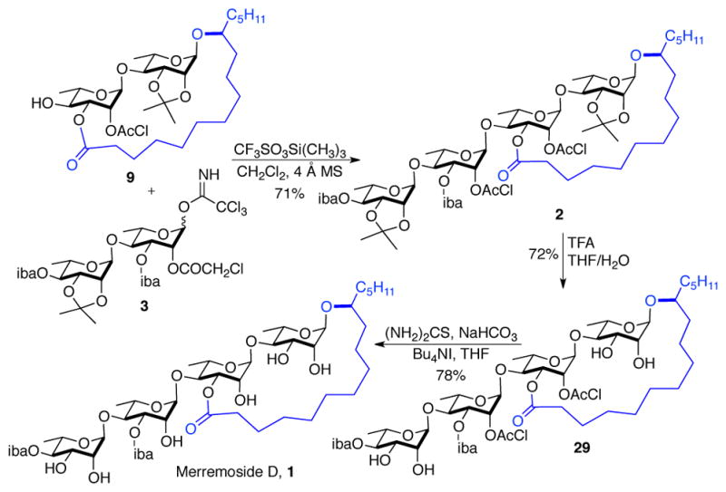 Scheme 6