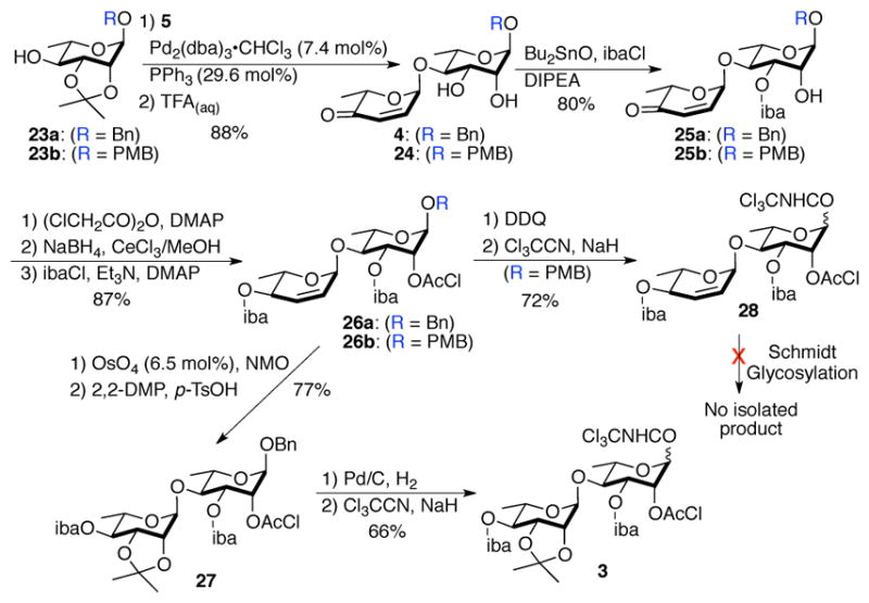 Scheme 5