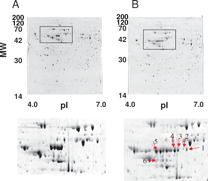 FIGURE 3.