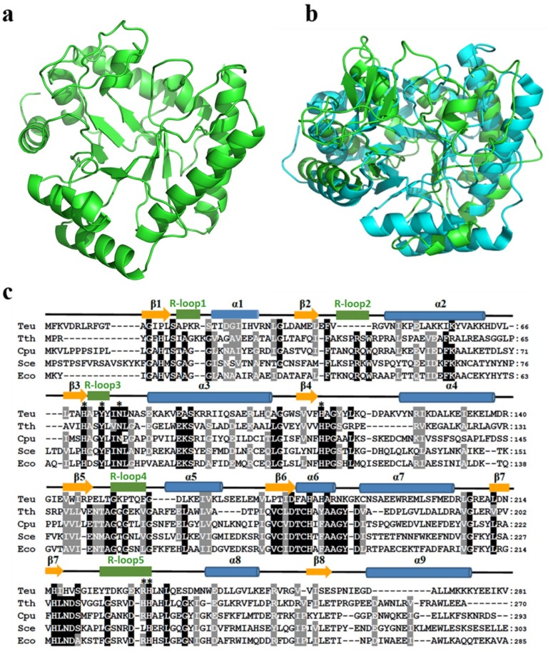 Figure 9