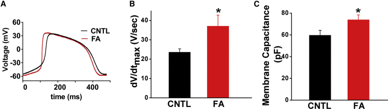 Figure 4