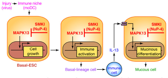 Fig. 6.