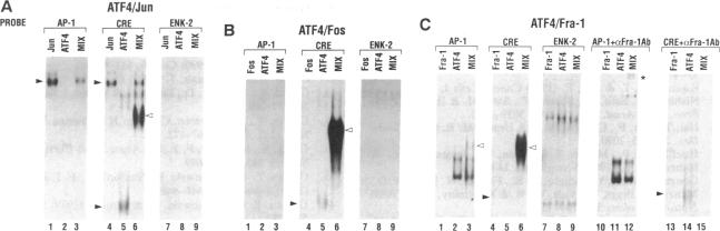 graphic file with name pnas01059-0223-a.jpg