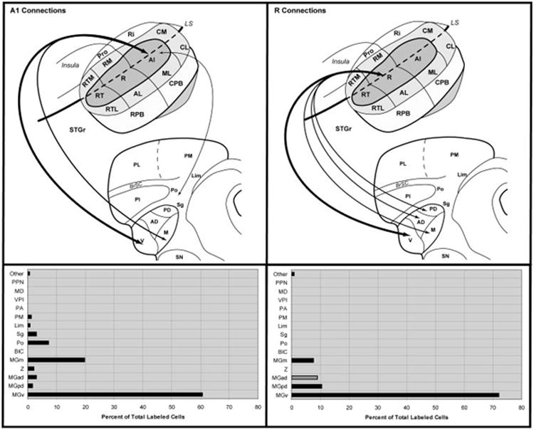 Fig. 15