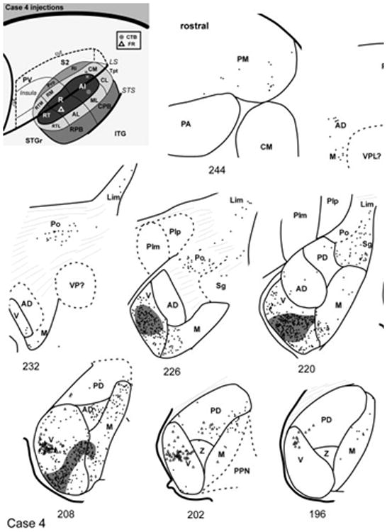 Fig. 13