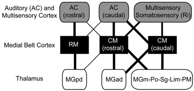 Fig. 16