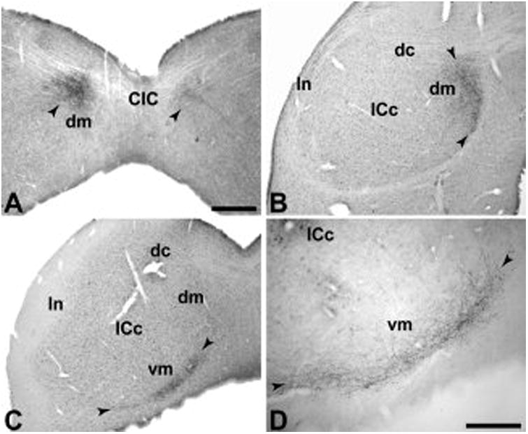 Fig. 10